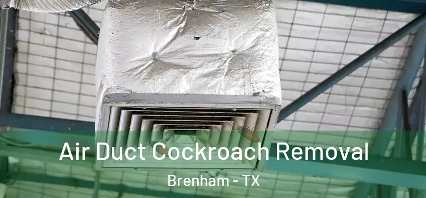  Air Duct Cockroach Removal Brenham - TX