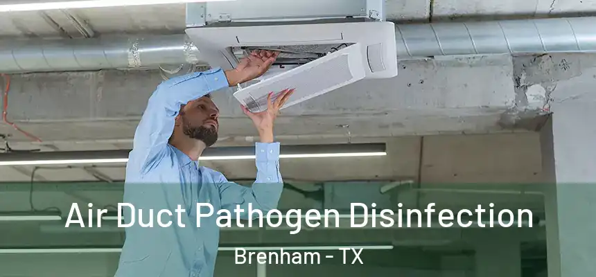  Air Duct Pathogen Disinfection Brenham - TX