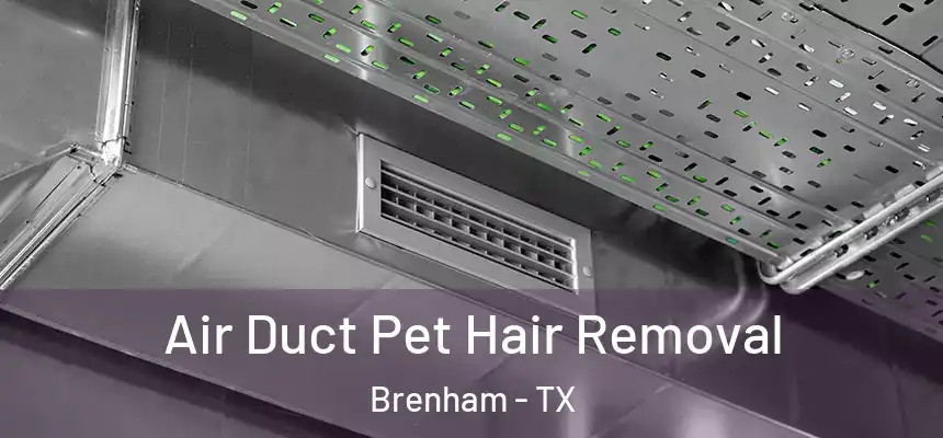  Air Duct Pet Hair Removal Brenham - TX