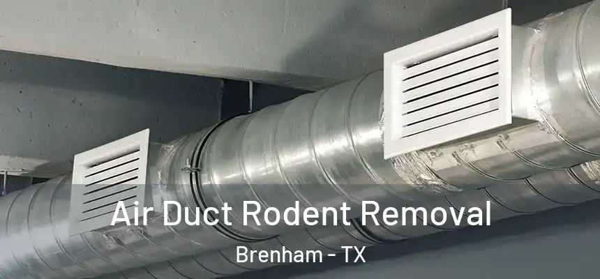  Air Duct Rodent Removal Brenham - TX