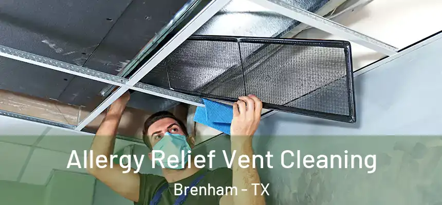  Allergy Relief Vent Cleaning Brenham - TX