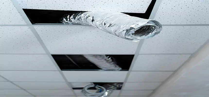 Our Air Duct Pet Hair Removal Services in Brenham, TX