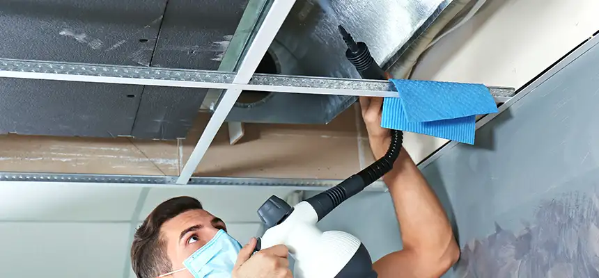 Our Air Duct Rodent Removal Services in Brenham, TX