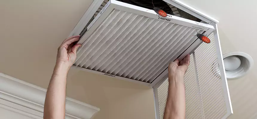 Our Insect Removal from Air Ducts Services in Brenham, TX
