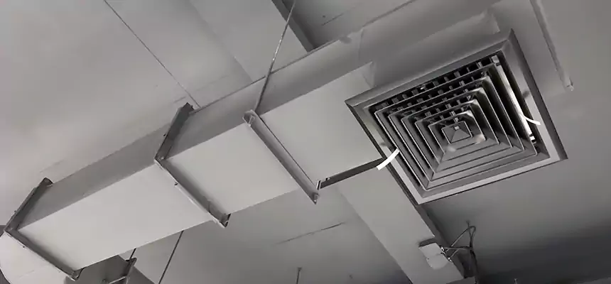 Our Pest Removal From Ducts Services in Brenham, TX