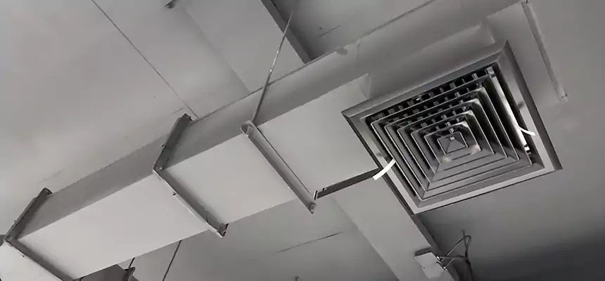 Our Rodent Droppings In Vents Services in Brenham, TX