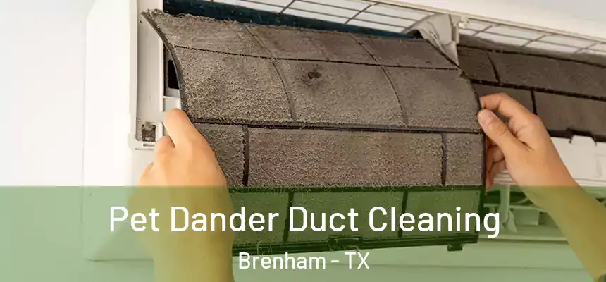  Pet Dander Duct Cleaning Brenham - TX