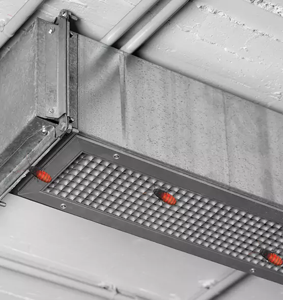 About Air Duct Cockroach Removal in Brenham, TX