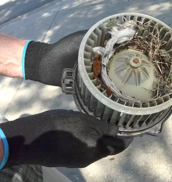 About Air Duct Mice Removal in Brenham, TX