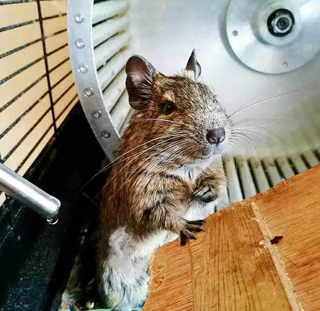 Why Homeowners & Businesses Trust Us Brenham, TX?